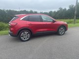 Certified 2020 Ford Escape SEL image 3