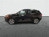 Used 2020 Ford Escape SEL image 5