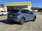 New 2024 Ford Escape ST-Line w/ Equipment Group 301A image 3
