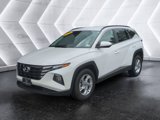 Used 2024 Hyundai Tucson SEL image 2