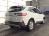 Used 2020 Ford Escape SE image 2