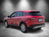 Used 2025 Ford Escape Active w/ Tech Pack #1 image 4