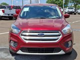 Certified 2019 Ford Escape SE image 2