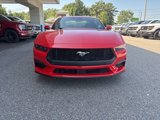 New 2025 Ford Mustang Coupe image 2