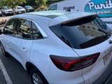 Used 2024 Ford Escape Active image 5