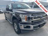 Used 2019 Ford F150 XLT w/ Equipment Group 302A Luxury image 3