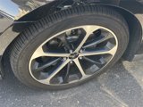 Used 2014 Ford Taurus SHO w/ Equipment Group 401A image 4