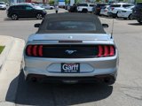 Used 2021 Ford Mustang Premium image 5