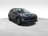 Used 2022 Ford Escape SEL image 5