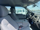 Used 2013 Ford F150 XLT image 3