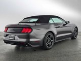 Used 2018 Ford Mustang Premium image 5