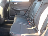 New 2025 Ford Escape ST-Line w/ Tech Pack #1 image 6