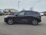 Used 2024 Ford Escape ST-Line image 2