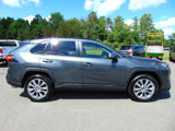 Used 2019 Toyota RAV4 XLE Premium image 2