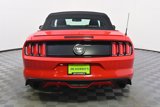 Used 2015 Ford Mustang Premium w/ 50 Years Appearance Package image 5