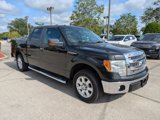 Used 2013 Ford F150 XLT w/ Luxury Equipment Group image 2