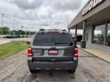 Used 2011 Ford Escape XLT w/ 202A Rapid Spec Order Code image 4