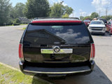 Used 2009 Cadillac Escalade AWD image 5