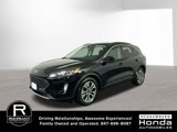 Used 2021 Ford Escape SEL image 2