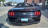 Used 2020 Ford Mustang Premium image 3