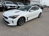 Used 2019 Kia Stinger Premium image 2