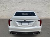 Certified 2023 Cadillac CT5 Premium Luxury w/ Climate Package image 4