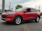 Used 2021 Ford Escape SE image 5