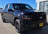 New 2025 Ford F150 STX w/ STX Black Appearance Package image 2