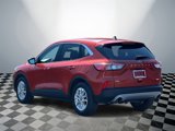 Used 2020 Ford Escape SE image 4