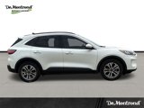 Used 2022 Ford Escape SEL image 4