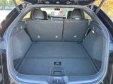 New 2025 INFINITI QX55 Luxe w/ Cargo Package image 5