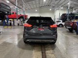 Used 2020 Ford Edge Titanium w/ Cargo Accessory Package image 4