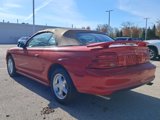 Used 1994 Ford Mustang GT image 4