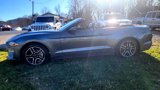 Used 2022 Ford Mustang Premium image 4