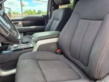 Used 2009 Ford F150 XLT image 3