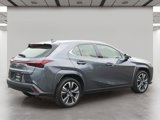 Used 2024 Lexus UX 250h AWD w/ Premium Package image 5