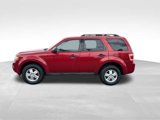 Used 2011 Ford Escape XLT w/ Cargo Pkg image 4