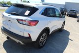Used 2020 Ford Escape SEL image 6