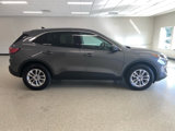 Used 2022 Ford Escape SE image 4