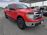 Used 2014 Ford F150 XLT image 4