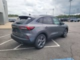 New 2025 Ford Escape ST-Line w/ Equipment Group 301A image 3