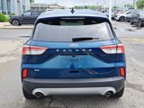 Used 2020 Ford Escape SE image 4