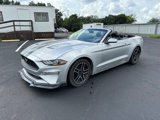 Used 2018 Ford Mustang Premium w/ Equipment Group 201A image 2
