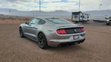 Used 2021 Ford Mustang Coupe w/ 2.3L High Performance Package image 5