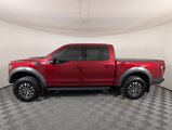 Used 2019 Ford F150 Raptor w/ Equipment Group 802A Luxury image 2