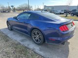 Used 2016 Ford Mustang Premium w/ Equipment Group 201A image 2