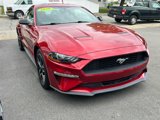 Used 2020 Ford Mustang Coupe w/ Equipment Group 101A image 5