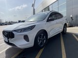 New 2024 Ford Escape ST-Line w/ Equipment Group 301A image 3