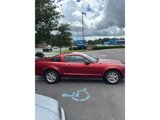 Used 2006 Ford Mustang Coupe image 4