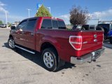 Used 2013 Ford F150 XLT w/ Luxury Equipment Group image 6